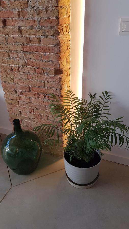 Loft Mariola - Apartamento En El Centro Historico 보캐어렌트 외부 사진